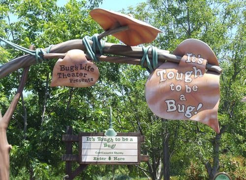 Closure Alert: What’s Closed This Summer at Disney World & Universal Orlando